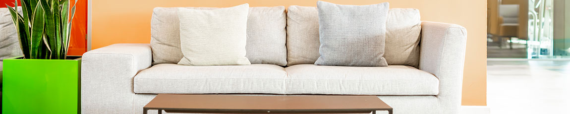 Sofa and table with a bright green plant on the side