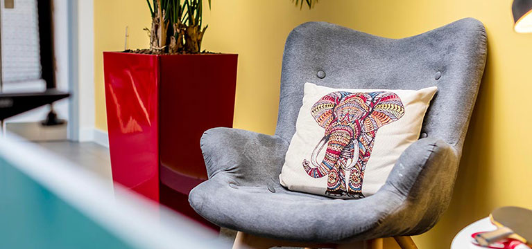 Grey chair with an elephant cushion