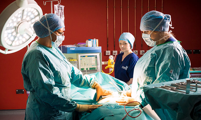 Mock Operating Theatre Mock Operating Theatre