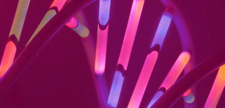 Sport, Exercise and Life Sciences