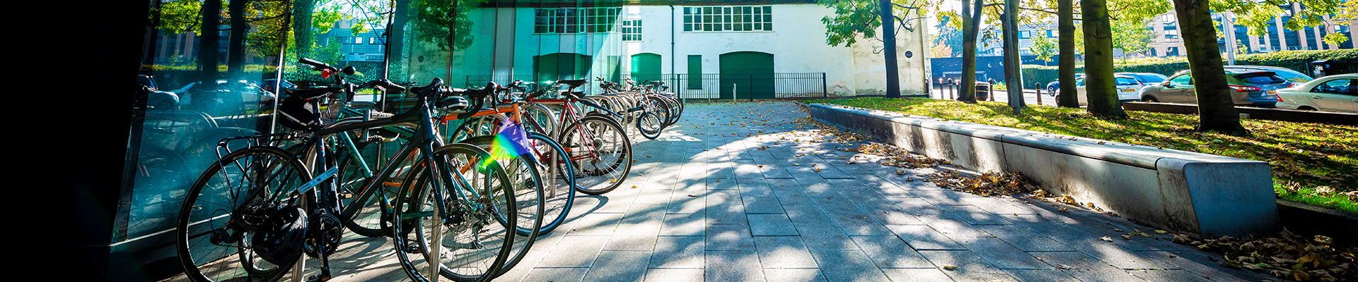 exterior view of the Alison Gingell building