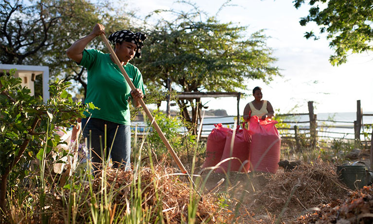 Community-Driven Agroecology on the Pacific coast of Nicaragua