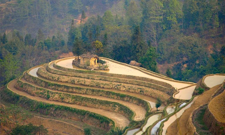 Hills covered in cultures all lined up