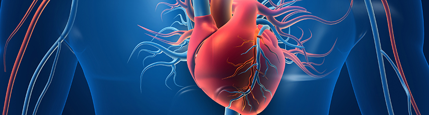 animated torso with heart