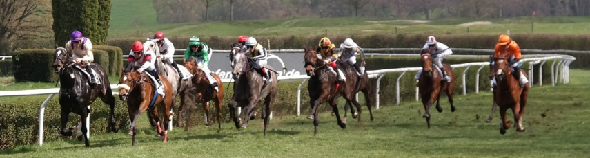 horses racing