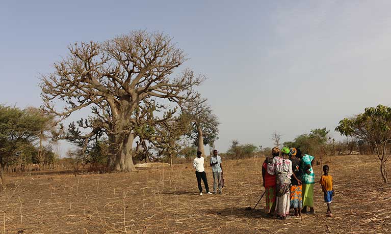 Field in West Africa with people