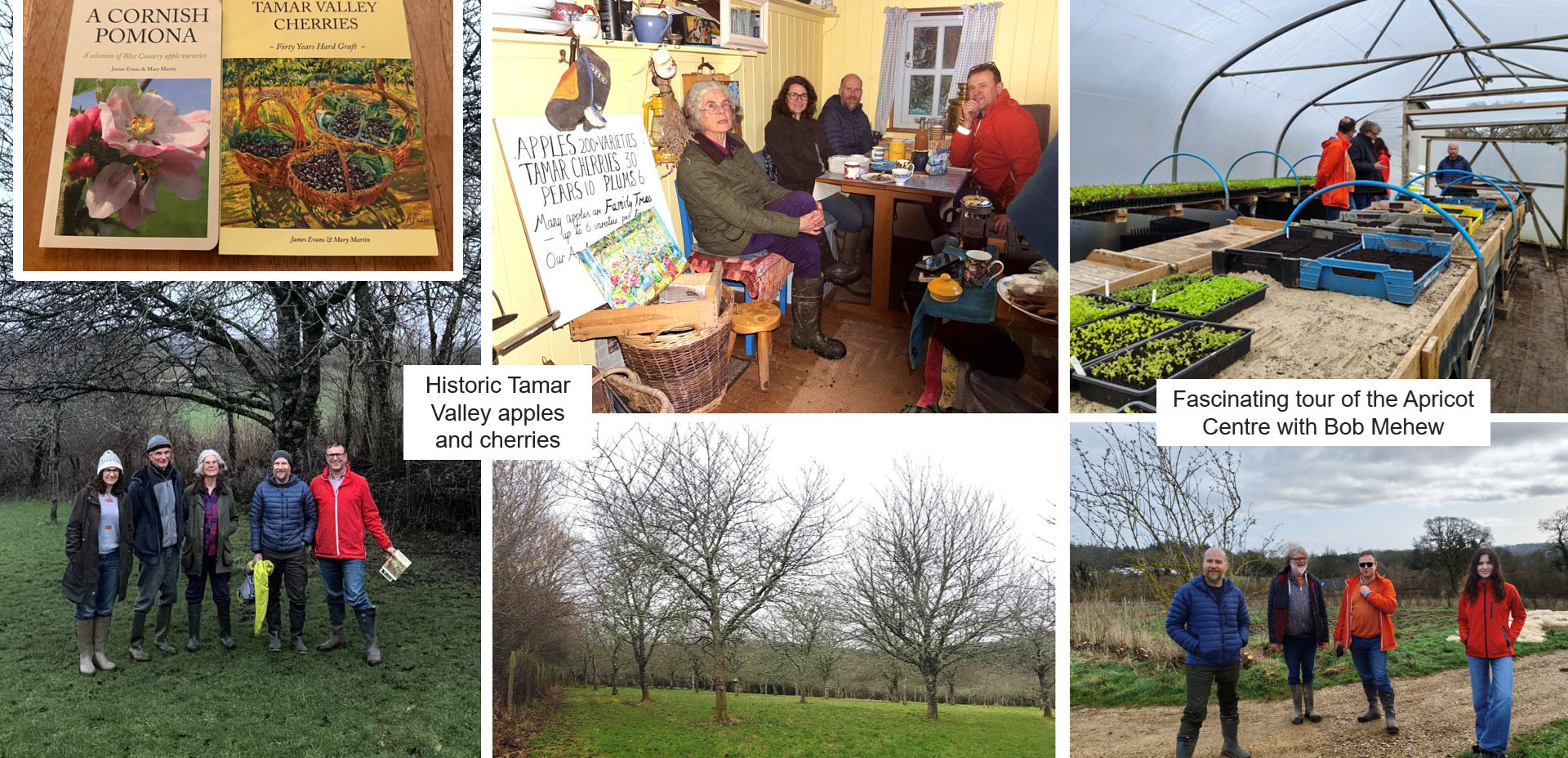 Various photos from the Tamar Valley trip