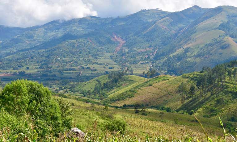 Agroecology in Africa: Where are we now and what are the issues and opportunities as we look ahead?