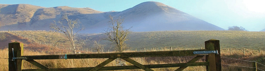 A gate with rolling hills in the background