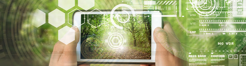 Phone in forest
