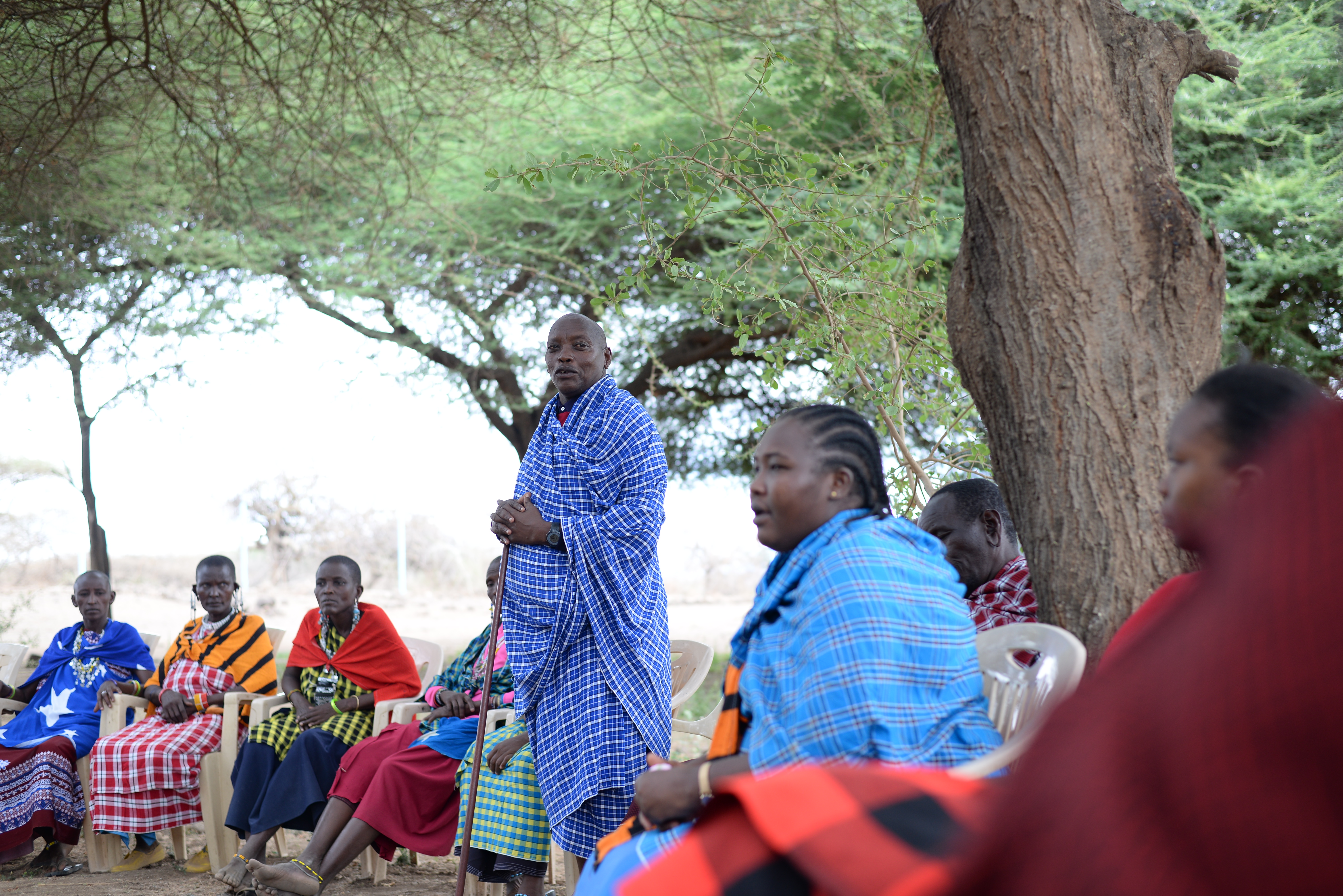 African people gathered round under a huge tree