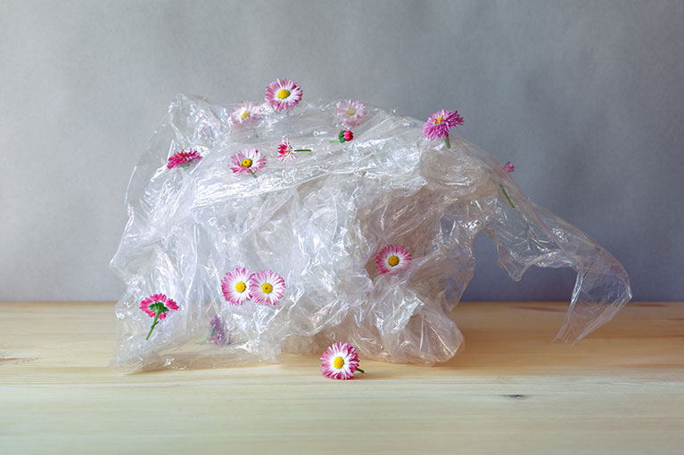 An image of plastic packaging on a bench with several pink daisy's attached