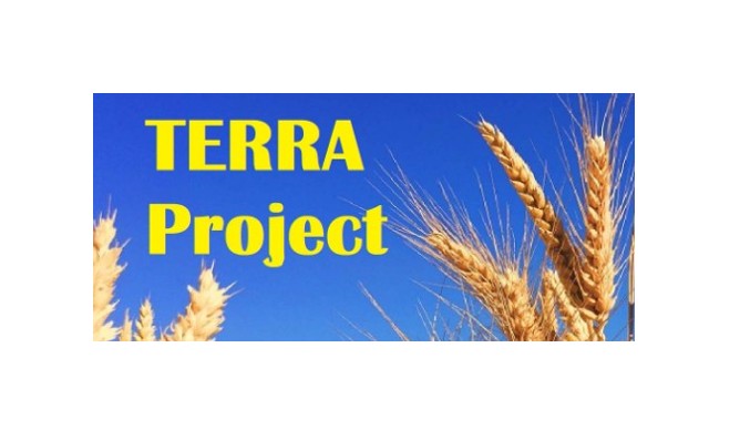 Yellow words of 'TERRA Project' against a blue back drop with wheat off to either side of wording