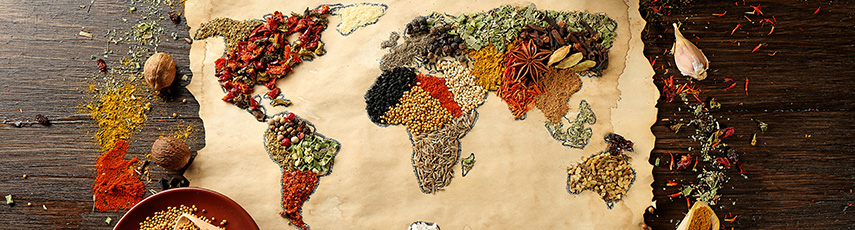 Map of the world made from different foods and spices