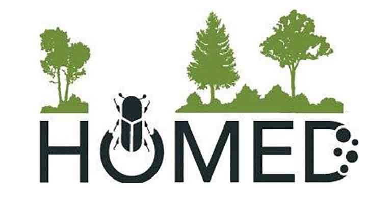 homed logo
