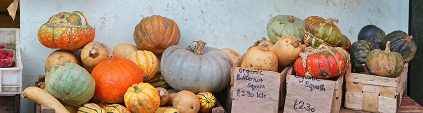 Pumpkins and squashes for sale at a farmers market