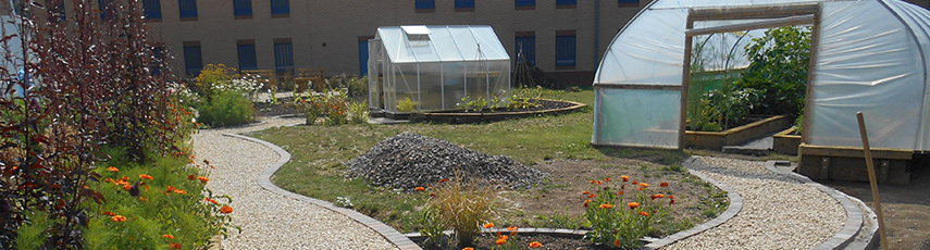 Planted garden area and greenhouses in HMP Rye Hill