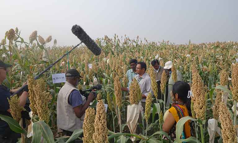 TV crew film delegates at agroecology field test.