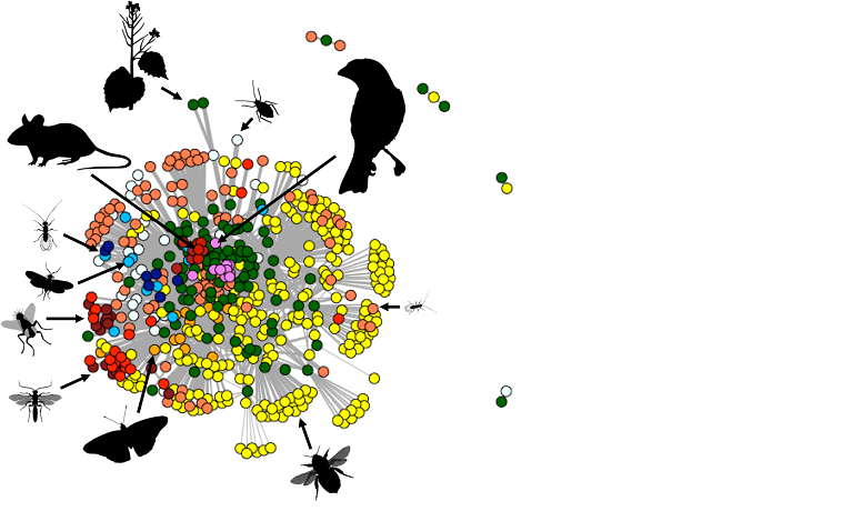 Agroecosystems