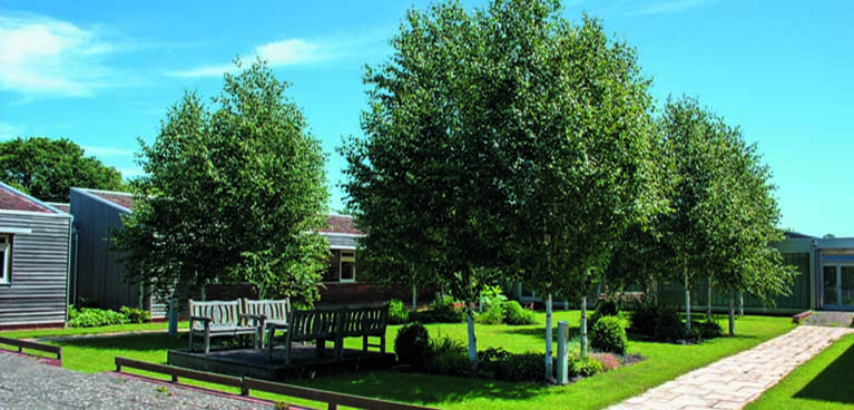 Funders and Partners