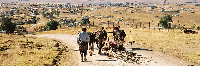 TOCASA (Trade-offs in communal areas in South Africa)