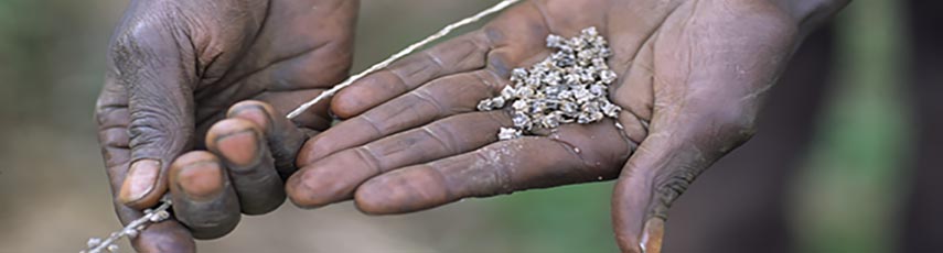 Transforming policy and practice towards agroecological transitions for resilient and just food and farming systems in a changing climate