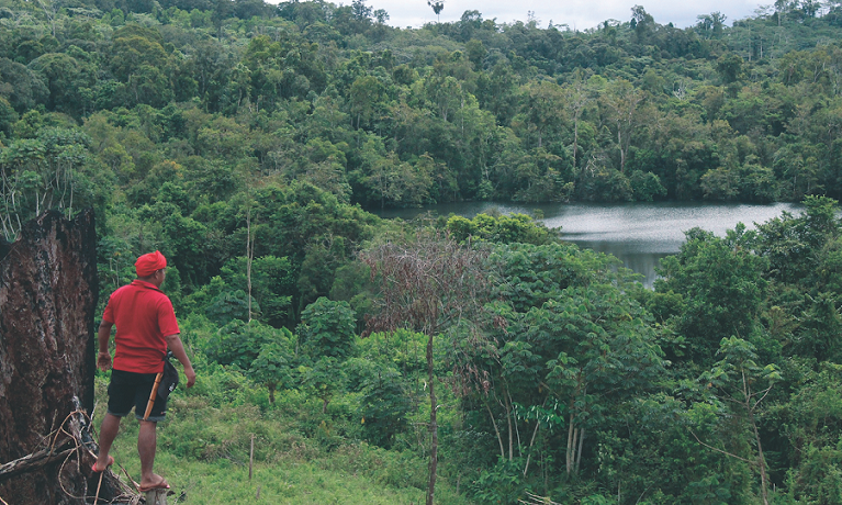 Man looking out at a forest