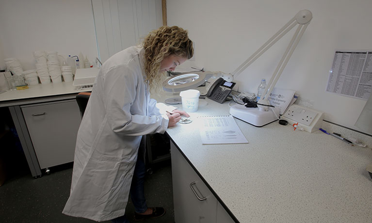 A researcher in a lab coat leaning over a petri dish.