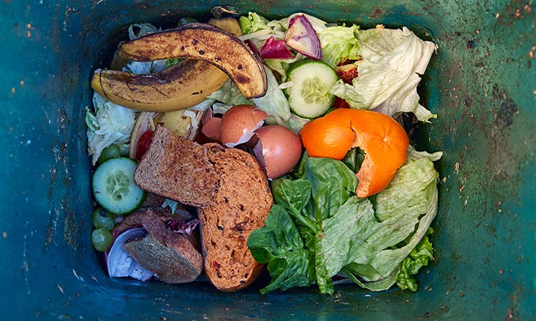 Looking down on biodegrading food waste in green recycling bin.