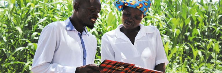 Stabilisation Agriculture Programme