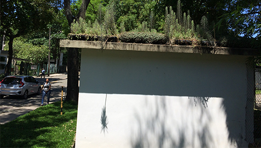  Test house on the Fiocruz campus, with a green roof