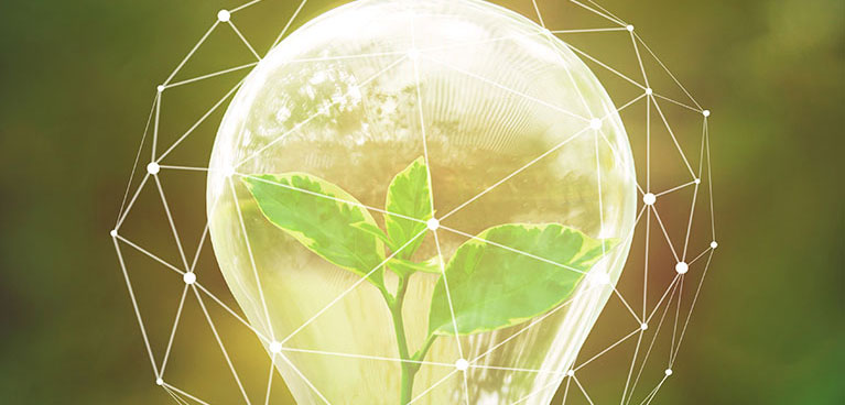 A light bulb with a plant inside 