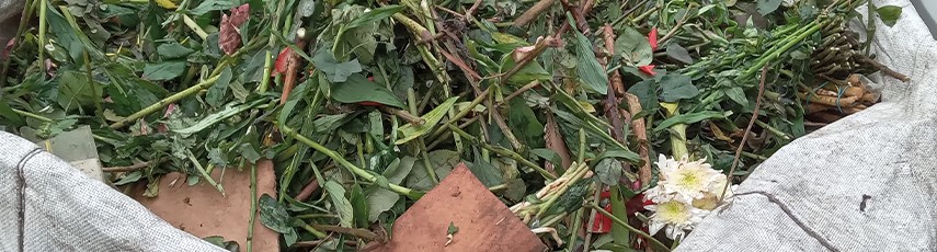 garden waste in a white sack