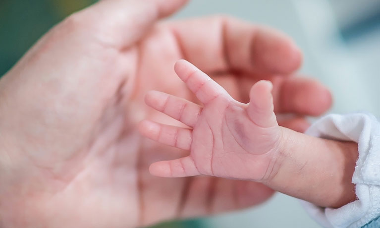 Baby hand being held in adult hand.