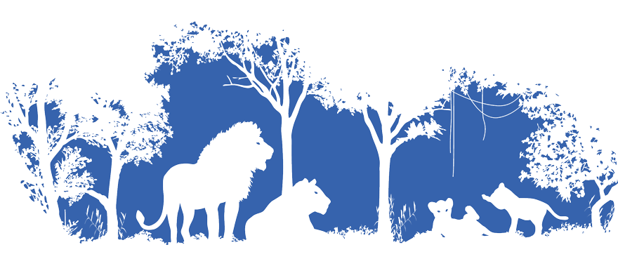 illustration of lions in near trees