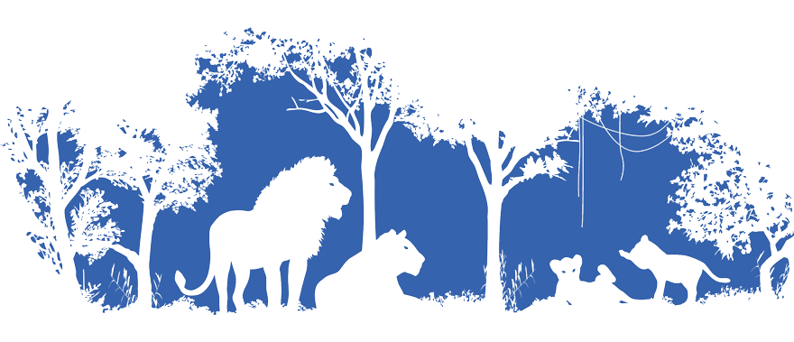 illustration of lions