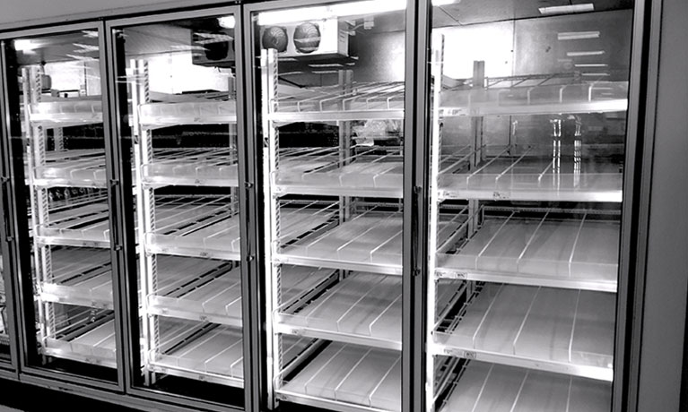 Black and white photo of a large empty fridge