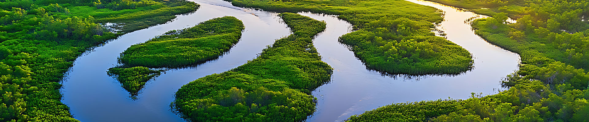 Lakes in a green field
