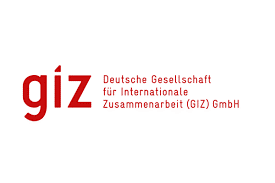 GIZ logo.
