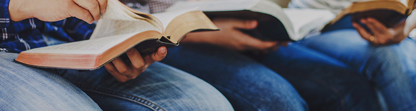 Close up of young adults reading bible together