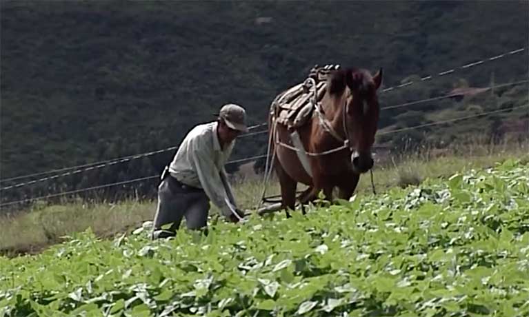 Agroecology Now