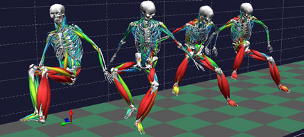 Read more about the biomechanics project.