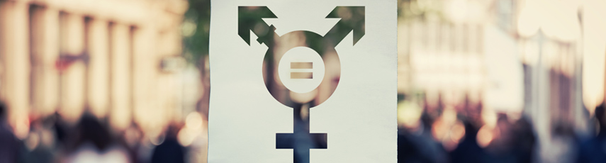 Translating Equalities: Living and Learning Trans Identities in the UK