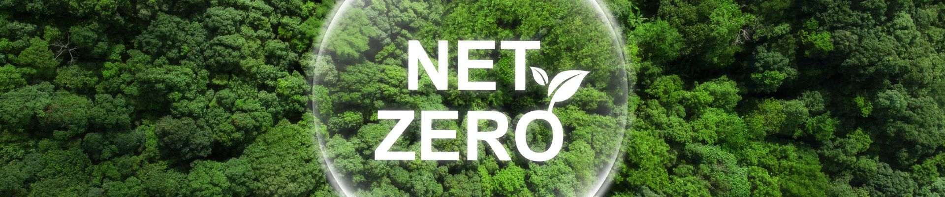 Net Zero Abstract