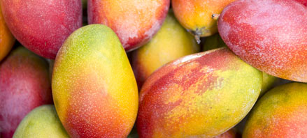 Mango Processing