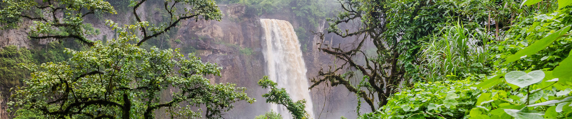 Ekom Waterfall deep in the tropical rain forest of Cameroon, Africa