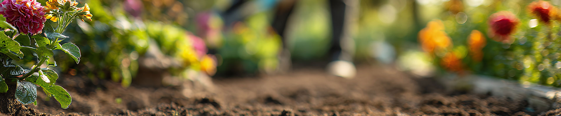 Peat compost to be banned –  but green alternatives are just as good for your garden