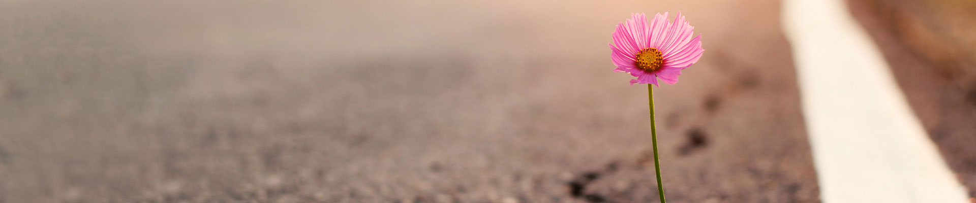 Hope is important for people living with cancer