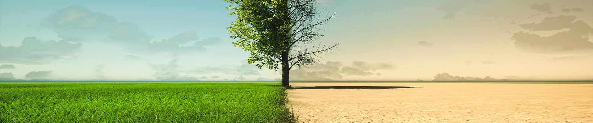 Climate Change and Occupational Heat Stress