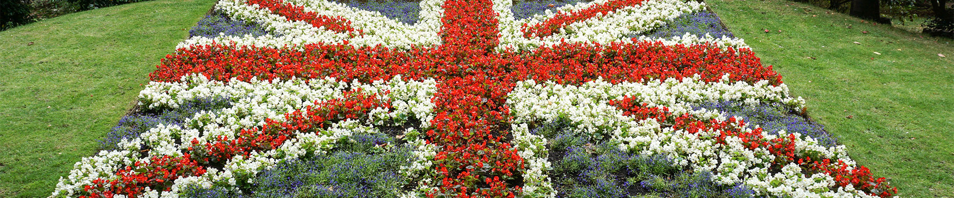 Crowning Glory: A Turning Point for British Growers of Cut Flowers?